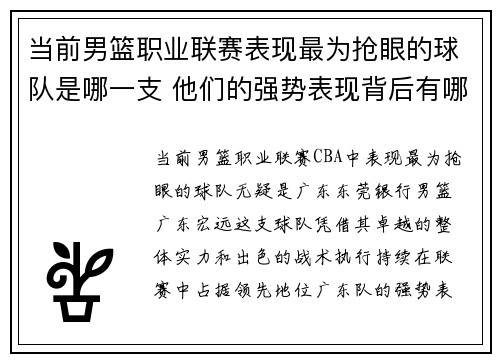 当前男篮职业联赛表现最为抢眼的球队是哪一支 他们的强势表现背后有哪些关键因素
